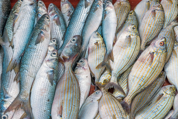 Frischer Fisch auf dem Markt von Vucciria in Palermo, Sizilien - Foto, Bild