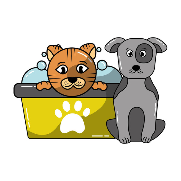 hond en kat Huisdier verzorging - Vector, afbeelding
