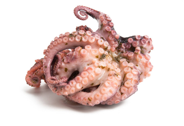 Octopus eristetty
  - Valokuva, kuva