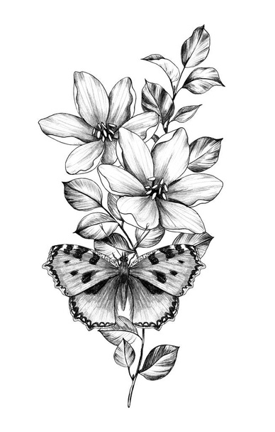 Hand Drawn Butterfly and  Flowers  - Zdjęcie, obraz