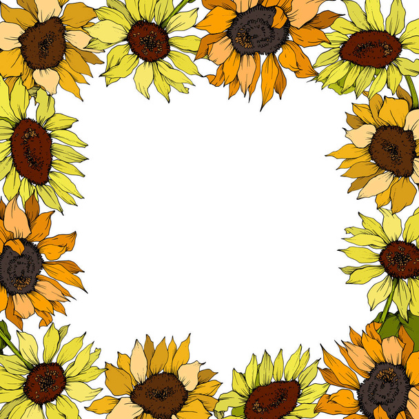 Vector Sunflower floral botanical flowers. Yellow and green engraved ink art. Frame border ornament square. - Vector, imagen