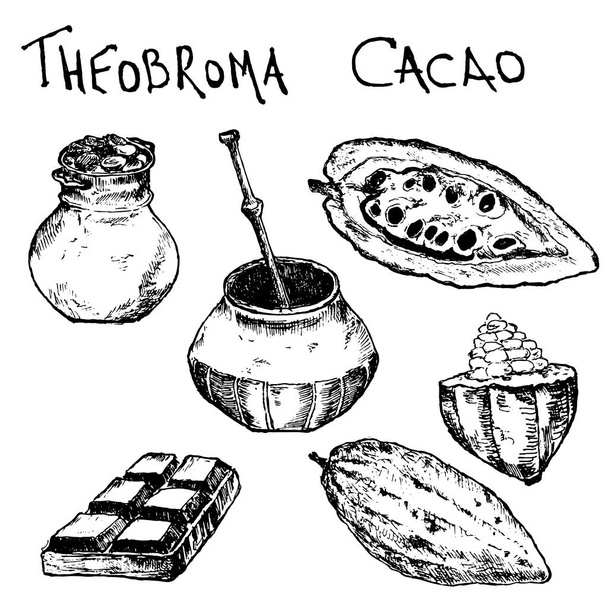 Dibujo dibujado a mano cacao conjunto de productos de chocolate. Ilustración vectorial vintage de alimentos naturales saludables para menús e infografías
 - Vector, Imagen