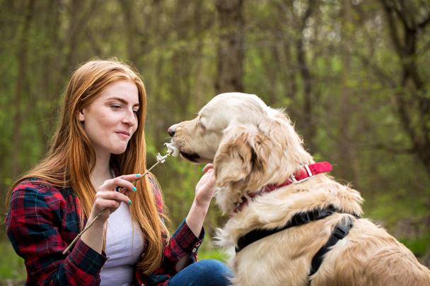vörös hajú, fiatal nő táplálja a kutya mályvacukrot - Fotó, kép