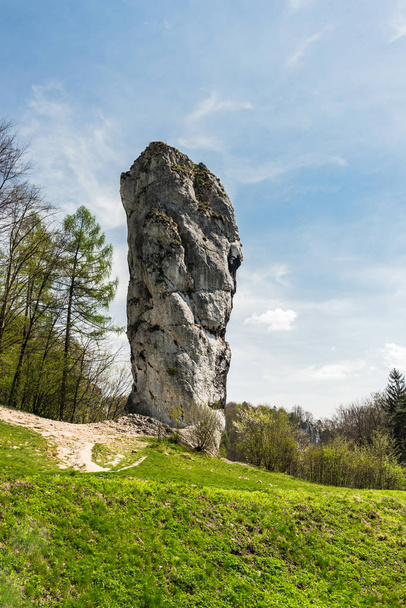 Roca caliza llamada "Maczuga Herkuklesa" (Hércules cudgel) i
 - Foto, imagen
