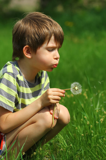 Boy blowing at a dandelion flower in the summer field - Photo, Image