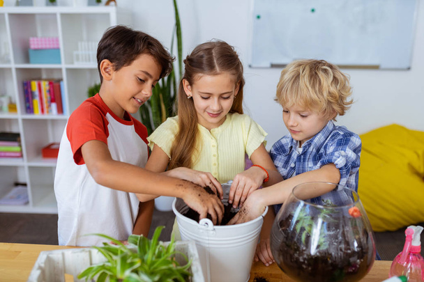 Pupils feeling involved in potting flowers and cactuses at school - Valokuva, kuva