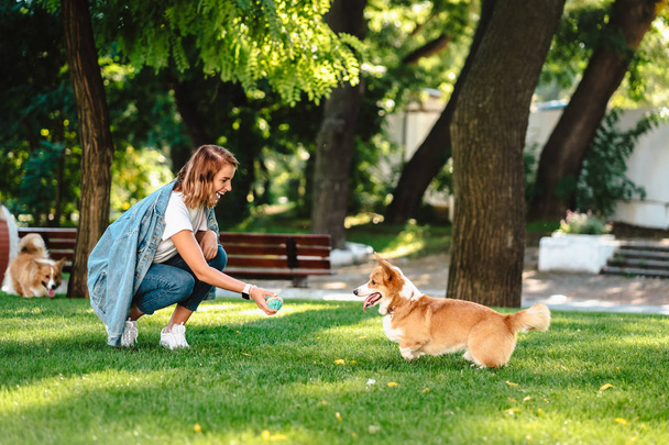 Retrato de mujer con perro Galés Corgi Pembroke en parque de perros - Foto, imagen