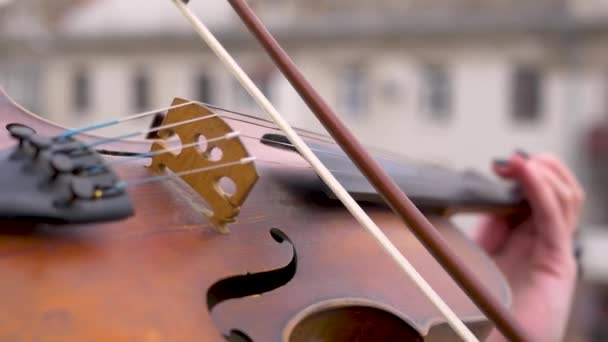Geige spielen aus nächster Nähe. die Saiten, auf denen sich der Geiger sehr schnell bewegt. Virtuose auf einem Musikinstrument. talentierter Musiker. - Filmmaterial, Video