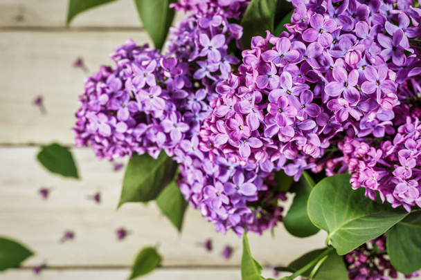 Flores de color lila florecientes - Foto, imagen