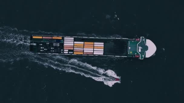 Container schip in export en import. International Shipping Cargo. - Video