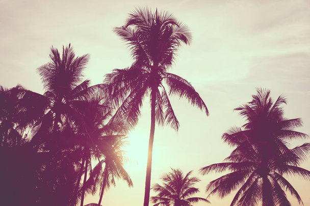 Nádherná venkovní krajinná krajina moře a pláže s kokosovým stromem při východu slunce nebo západu slunce pro volný čas a dovolenou - Fotografie, Obrázek