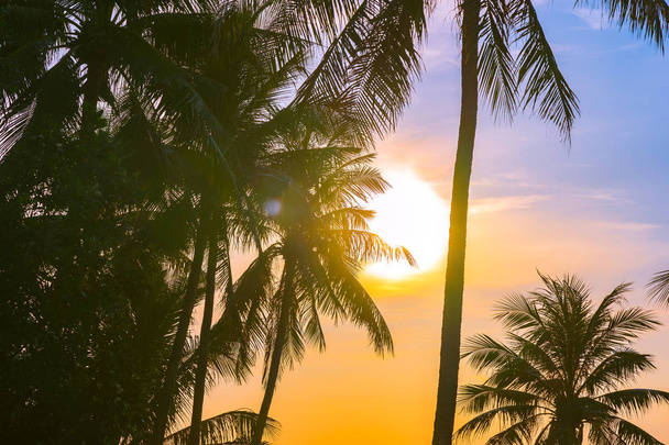 Kaunis ulkona luonto maisema meren ja rannan kookos palmu auringonnousun tai auringonlaskun vapaa-ajan matka ja loma
 - Valokuva, kuva