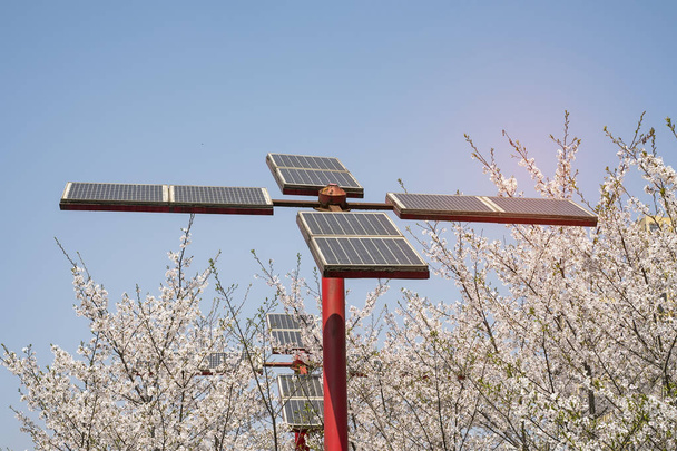 Экологическая энергия возобновляемых солнечных панелей завода с городской ландшафта
 - Фото, изображение
