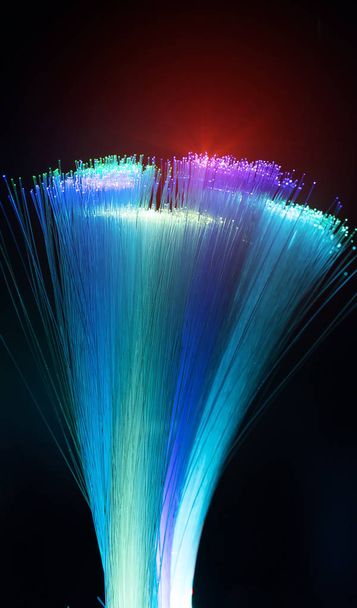 fiber optik ağ kablosu - Fotoğraf, Görsel