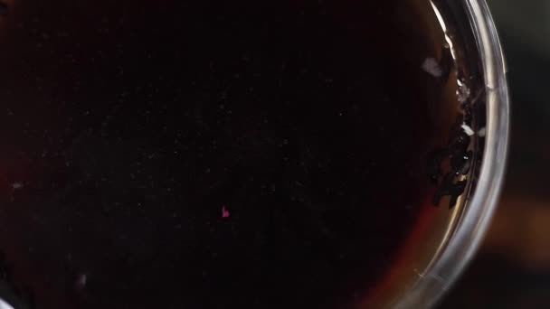 Hierbas púrpuras secas están cayendo en la superficie del líquido de té caliente en un recipiente de vidrio
. - Imágenes, Vídeo