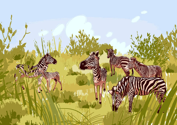 Az állomány a zebrák vetés sztyepp táj - Vektor, kép