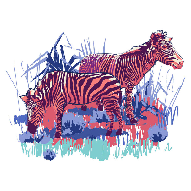Twee zebra's staan in het steppe landschap. - Vector, afbeelding