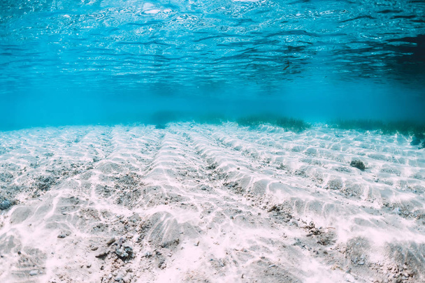 Mer bleue tropicale avec sable blanc sous-marin à Hawaï
 - Photo, image
