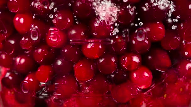 Beeren Preiselbeeren verwandeln sich in Marmelade - Filmmaterial, Video