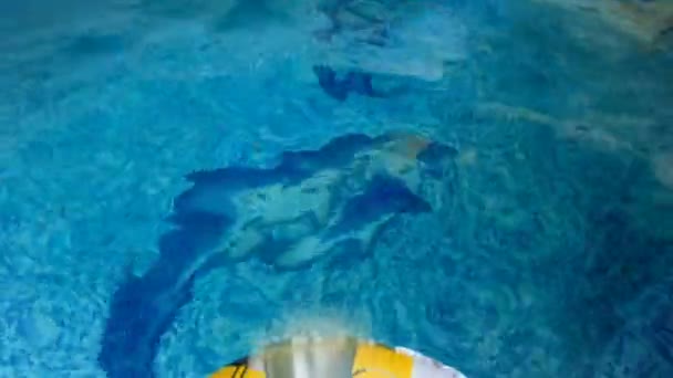 4k felvételeket a kamera búvárkodás a medencében keresztül felfújható színes gyűrű - Felvétel, videó
