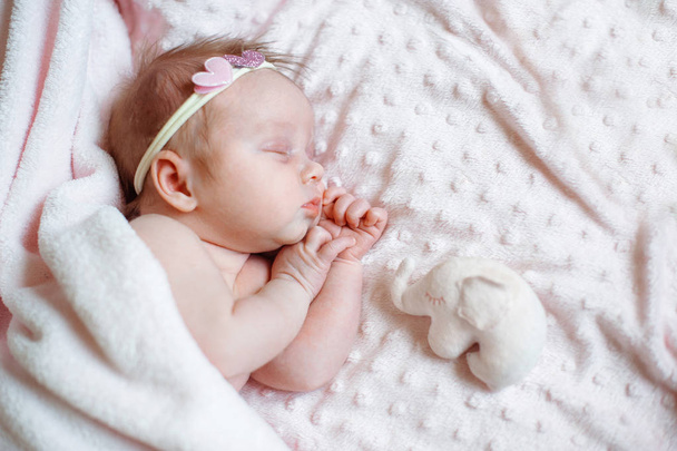 lovely newborn girl sleeping on pink blanket with place for your text - Photo, Image