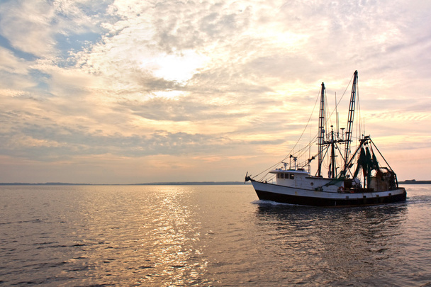 日の出で水の上の漁船 - 写真・画像