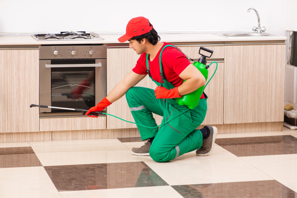 Profesjonalny wykonawca robi szkodników w kuchni - Zdjęcie, obraz