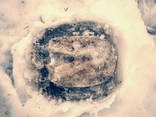 濡った滑りやすい雪の中で馬の足跡  - 写真・画像