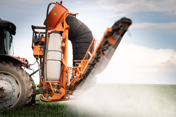 Пестициды трактора на пшеничном поле
  - Фото, изображение