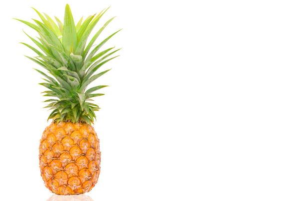 yksittäinen lähikuva ananas. Kypsä ananas eristetty valkoinen backgr
 - Valokuva, kuva