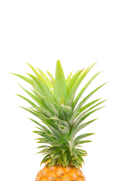 yksittäinen lähikuva ananas. Kypsä ananas eristetty valkoinen backgr
 - Valokuva, kuva