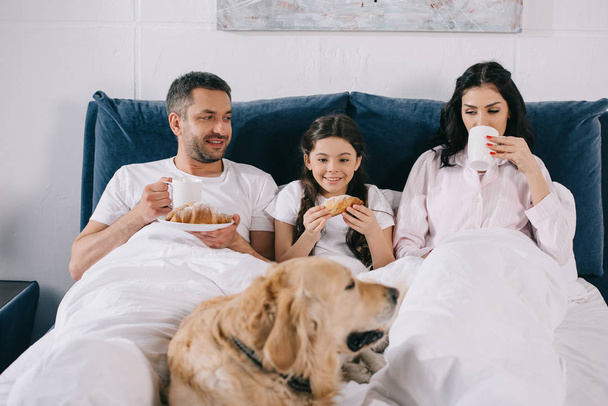 selective focus of happy kid looking at dog lying on bed near parents with cups  - Photo, Image
