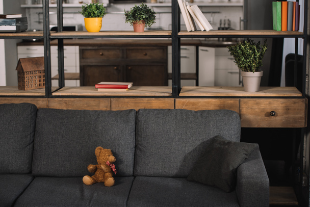 Teddy Bear a modern szürke kanapéra a nappaliba a napfényben  - Fotó, kép