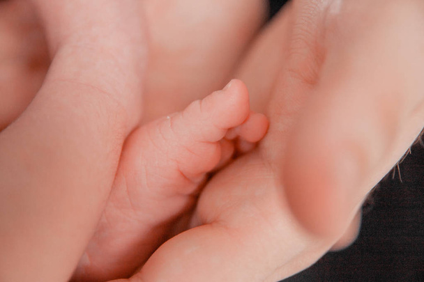 Беременность, материнство, подготовка и ожидание материнства, рождение концепции. Новорожденные детские ноги в руках родителей
 - Фото, изображение
