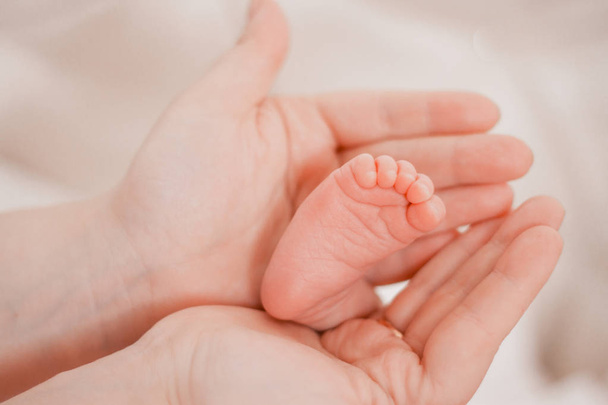 Pregnancy, maternity, preparation and expectation motherhood, giving birth concept. Newborn baby feet in hands of mommy - Φωτογραφία, εικόνα
