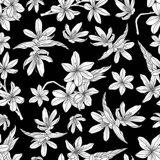 seamless pattern with hand drawn illustrations of Schizostylis. botanical graphic drawing of kaffir lily flower. Use for cards, textiles, backgrounds, invitations, paper, scrapbooking. - 写真・画像