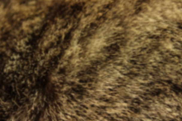 Divoká zvěř, zvířata, koncepce textur. Vystřižený snímek hnědé kožešiny. Brown Fur Close Up. Abstraktní textury pozadí zvířat. - Fotografie, Obrázek