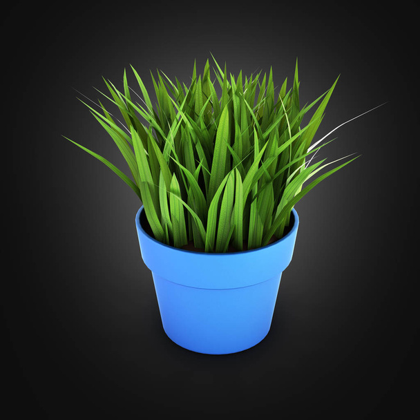 flowerpot with green grass on black gradient bakground 3d - Foto, imagen