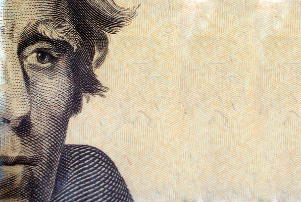 Portret van Andrew Jackson op 20 Amerikaanse dollars. - Foto, afbeelding