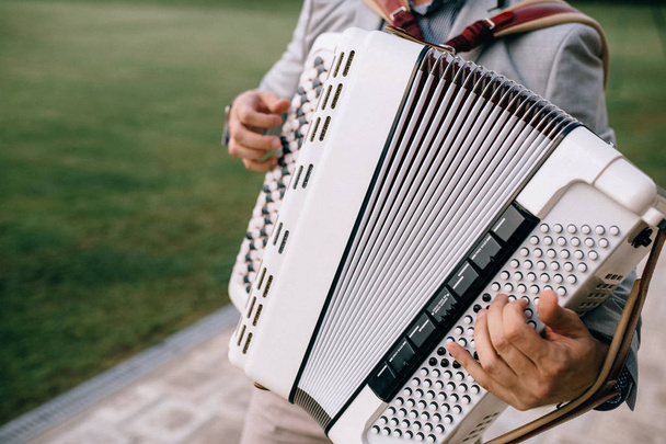Closeup detail of hands playing a white accordion instrument - Φωτογραφία, εικόνα