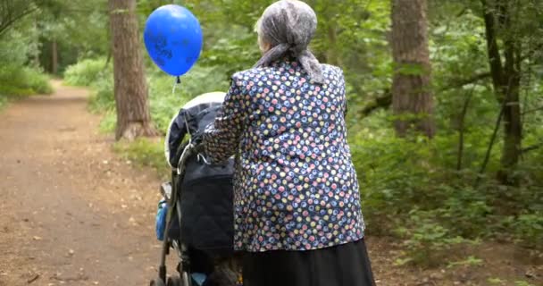 4k - Yaşlı kadın baharda açık havada bir bebek arabası ile yürüyüş - Video, Çekim
