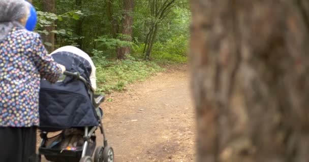 Femme heureuse flânant avec un buggy à l'extérieur dans une forêt au printemps en 4k
 - Séquence, vidéo
