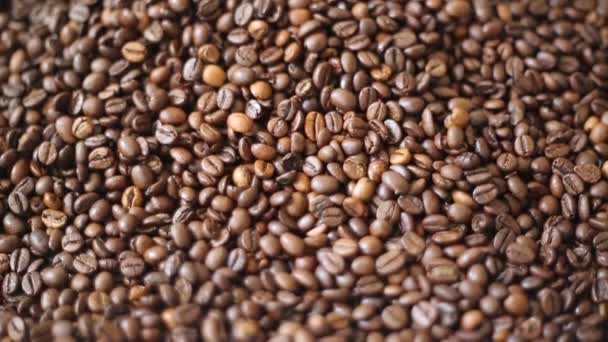 Brown roasted coffee beans is mix of arabica and robusta - Záběry, video