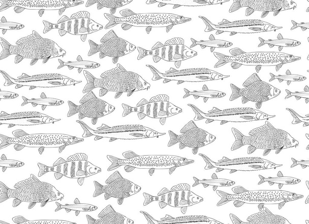 Fish collection, seamless pattern for your design - Vektor, Bild