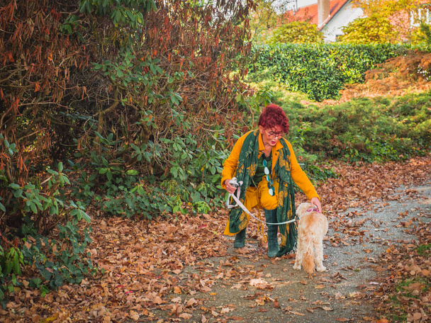 huomaavainen nainen huolehtii koirastaan koiran kanssa
 - Valokuva, kuva