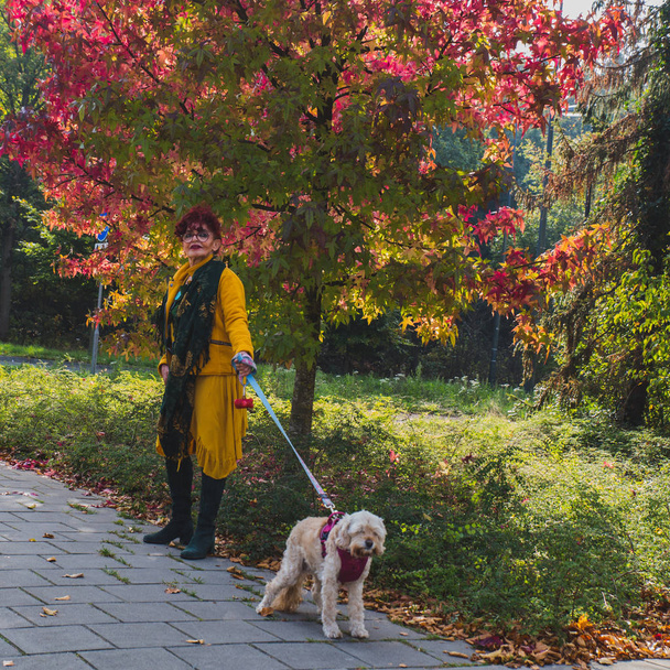 Восточная пожилая женщина со старшей собакой гуляет по улице в
 - Фото, изображение