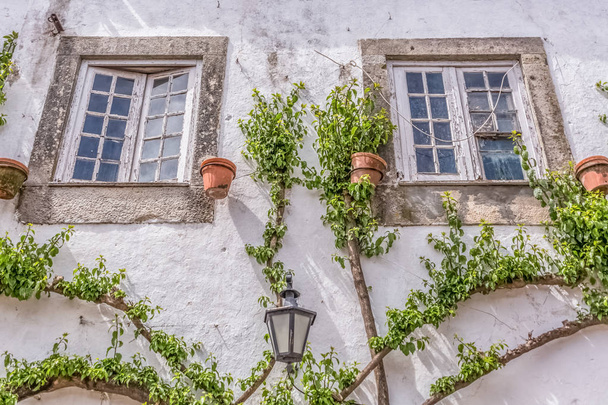 Vista detallada de una fachada vernácula portuguesa con planta trepadora alrededor de ventanas, en el pueblo medieval de Obidos, en Portugal
 - Foto, imagen