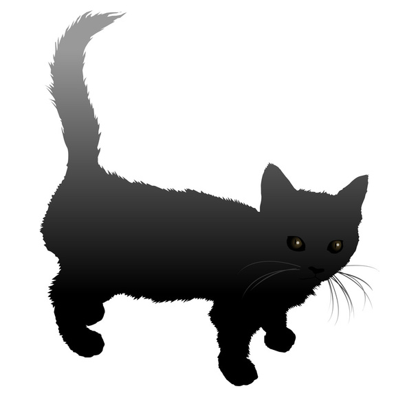 Gato mascota
 - Vector, Imagen