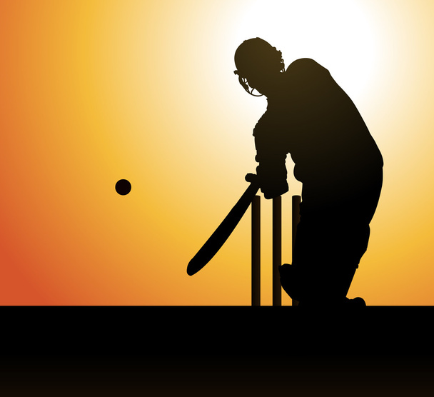 Cricketspieler - Vektor, Bild