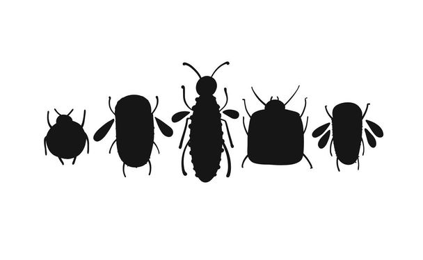 Funny collection de coléoptères pour votre conception
 - Vecteur, image